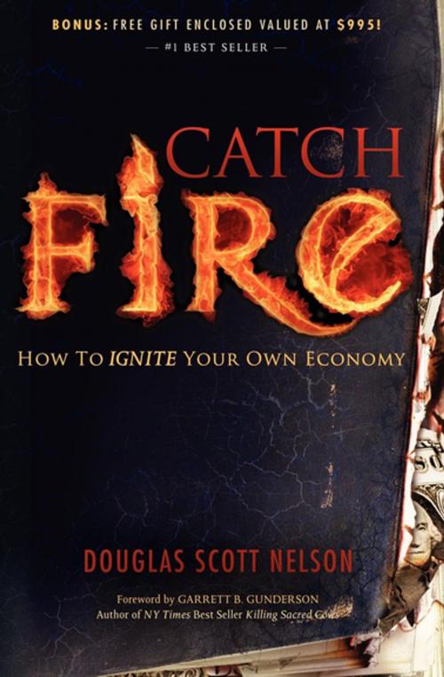 Cover of the book Catch Fire by Douglas Scott Nelson, Morgan James Publishing