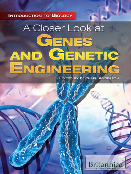Cover of the book A Closer Look at Genes and Genetic Engineering by Michael Anderson, Britannica Educational Publishing