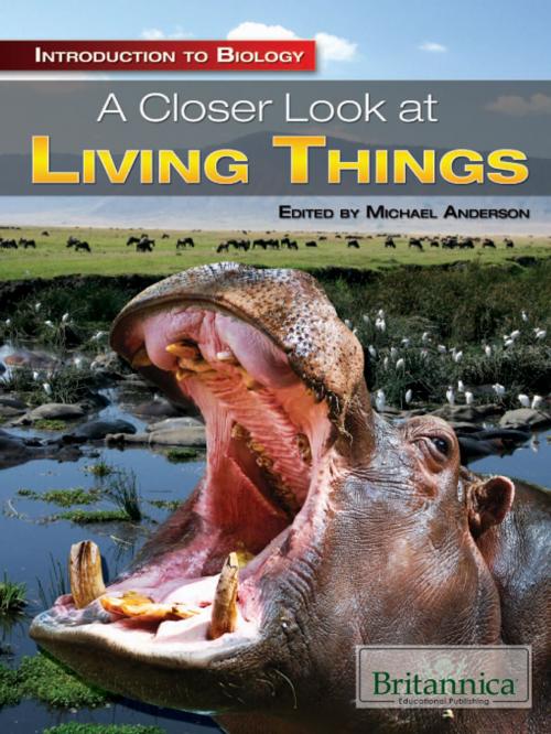 Cover of the book A Closer Look at Living Things by Michael Anderson, Britannica Educational Publishing