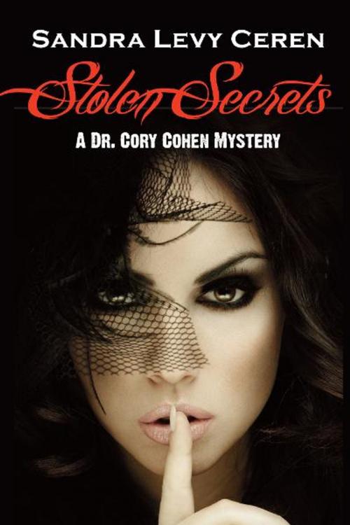 Cover of the book Stolen Secrets by Sandra L. Ceren, Loving Healing Press