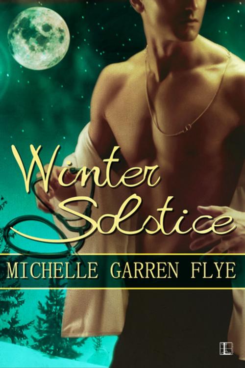 Cover of the book Winter Solstice by Michelle Garren Flye, Lyrical Press