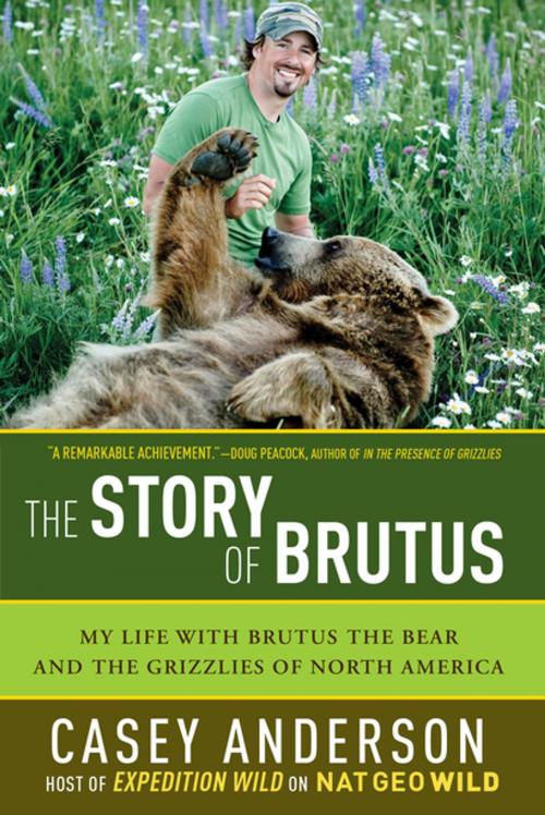 Cover of the book The Story of Brutus: My Life with Brutus the Bear and the Grizzlies of North America by Casey Anderson, Pegasus Books