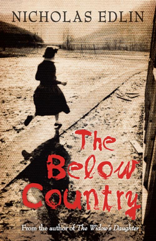 Cover of the book Below Country by Nicholas Edlin, Penguin Random House New Zealand