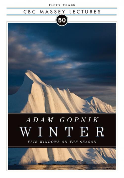 Cover of the book Winter: Five Windows on the Season by Adam Gopnik, House of Anansi Press Inc