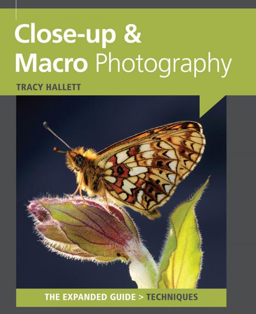 Cover of the book Close Up & Macro Photography by Tracy Hallett, Ammonite Press