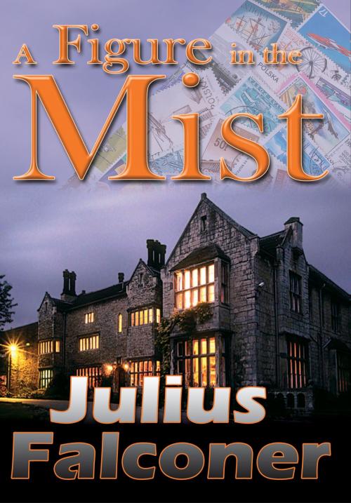 Cover of the book A Figure in the Mist by Julius Falconer, Pneuma Springs Publishing