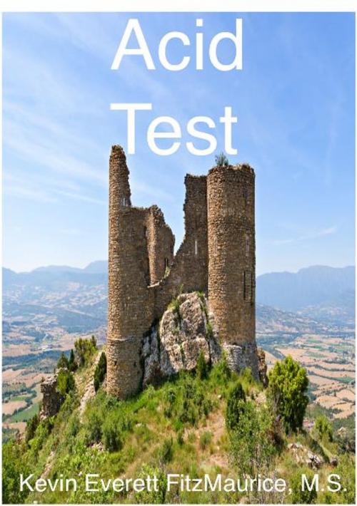 Cover of the book Acid Test by Kevin Everett FitzMaurice, FitzMaurice Publishers