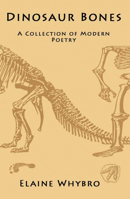 Cover of the book Dinosaur Bones by Elaine Whybro, Fledgling Press