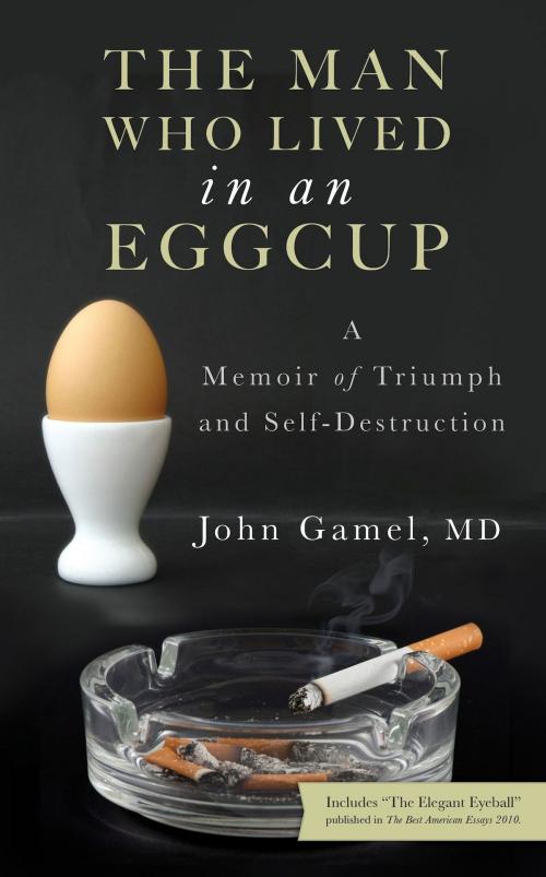 Cover of the book The Man Who Lived in an Eggcup by John Gamel, Hillcrest Media Group, Inc.