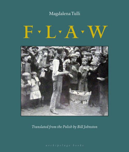 Cover of the book Flaw by Magdalena Tulli, Steerforth Press