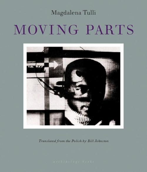 Cover of the book Moving Parts by Magdalena Tulli, Steerforth Press
