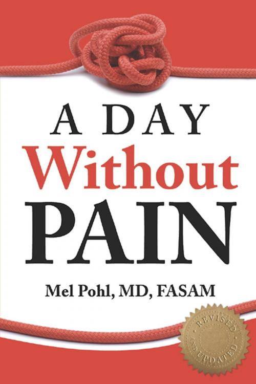 Cover of the book A Day without Pain by Mel Pohl, Central Recovery Press, LLC