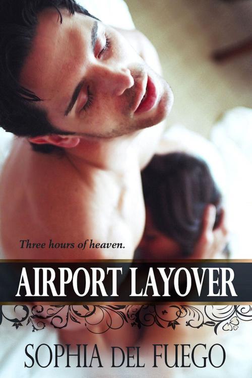 Cover of the book Airport Layover by Sophia del Fuego, Dark Hallows Publishing