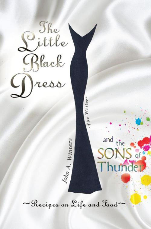 Cover of the book The Little Black Dress and the Sons of Thunder by John Winters, Total Publishing