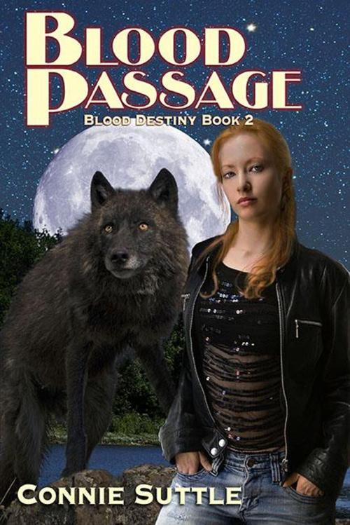 Cover of the book Blood Passage by Connie Suttle, SubtleDemon Publishing, LLC