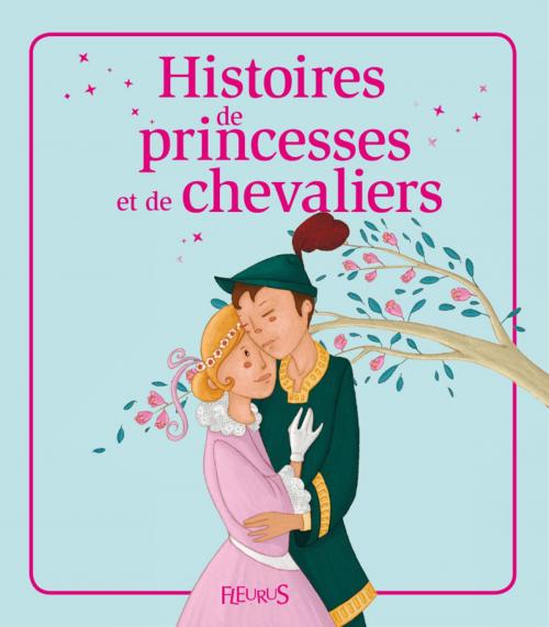 Cover of the book Histoires de princesses et de chevaliers by Raphaële Glaux, Kathie Fagundez, Sophie De Mullenheim, Charlotte Grossetête, Fleurus