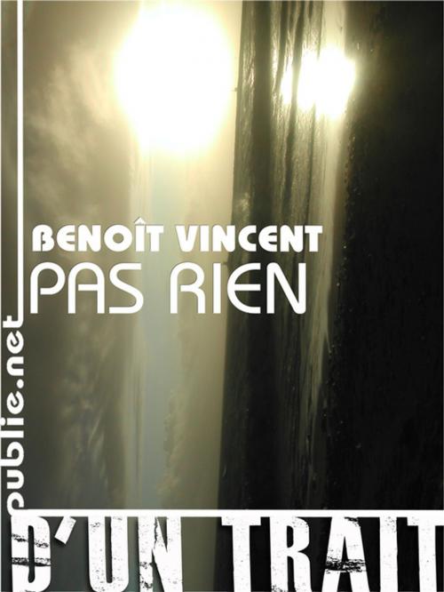 Cover of the book Pas rien by Benoît Vincent, publie.net