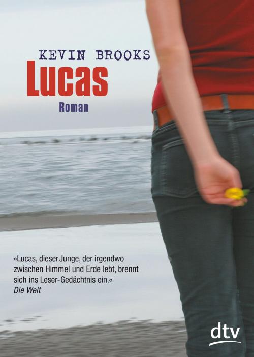 Cover of the book Lucas by Kevin Brooks, dtv