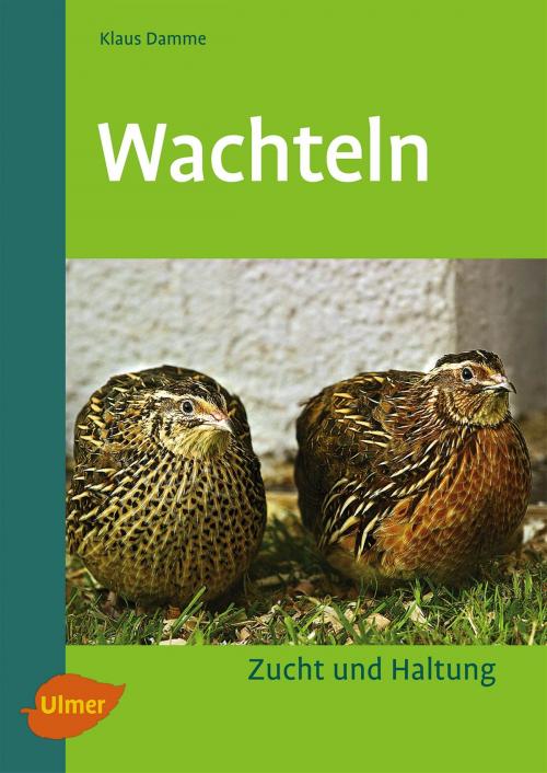 Cover of the book Wachteln by Dr. Klaus Damme, Verlag Eugen Ulmer