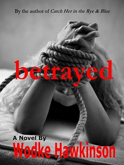Cover of the book Betrayed by Wodke Hawkinson, XinXii-GD Publishing