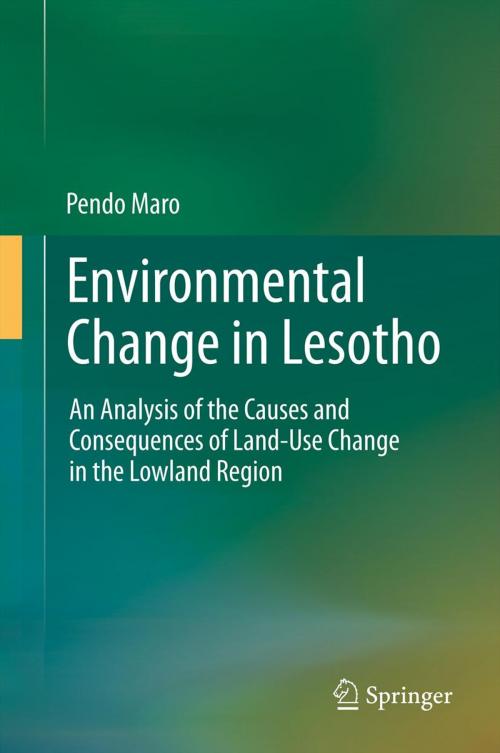 Cover of the book Environmental Change in Lesotho by Pendo Maro, Springer Netherlands