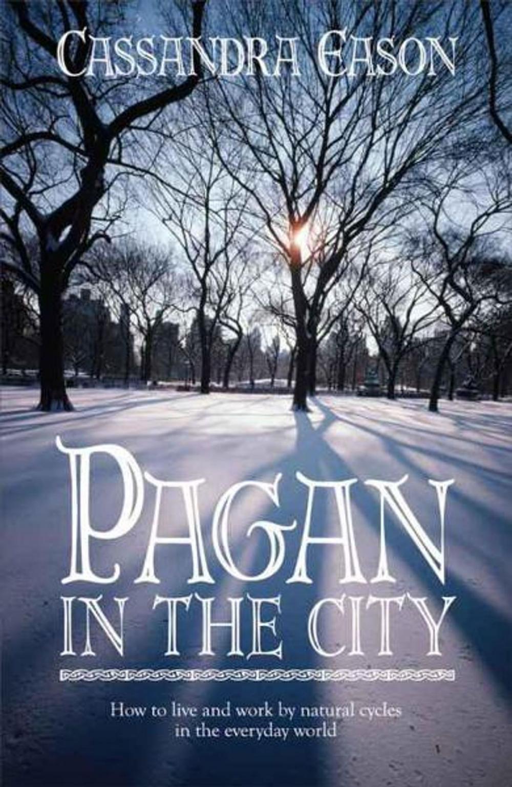 Big bigCover of Pagan in the City