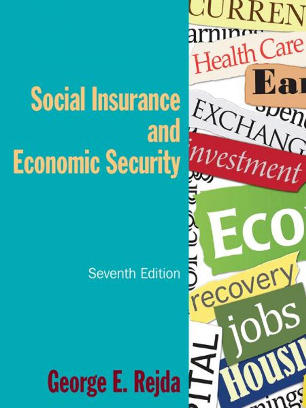 Big bigCover of Social Insurance and Economic Security