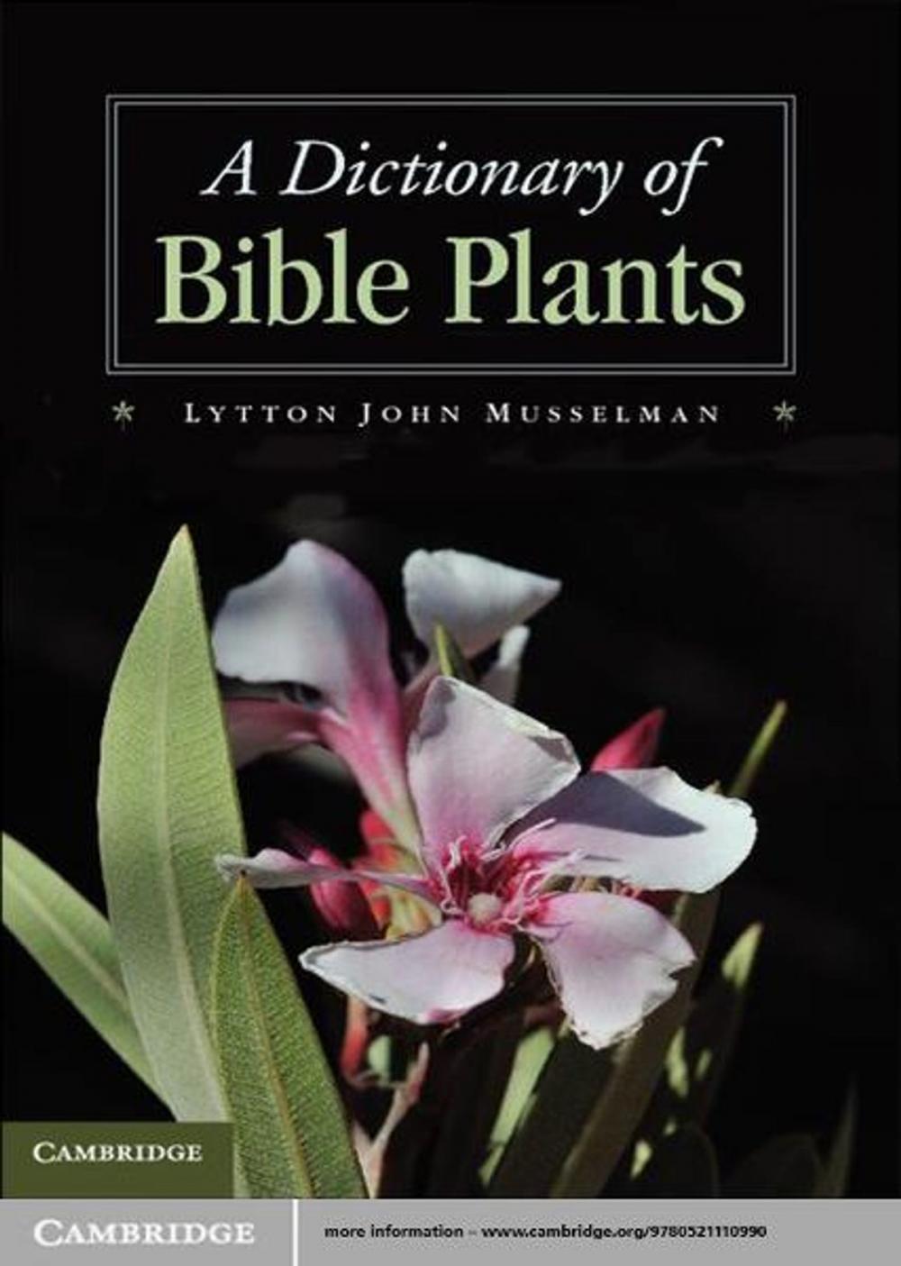 Big bigCover of A Dictionary of Bible Plants