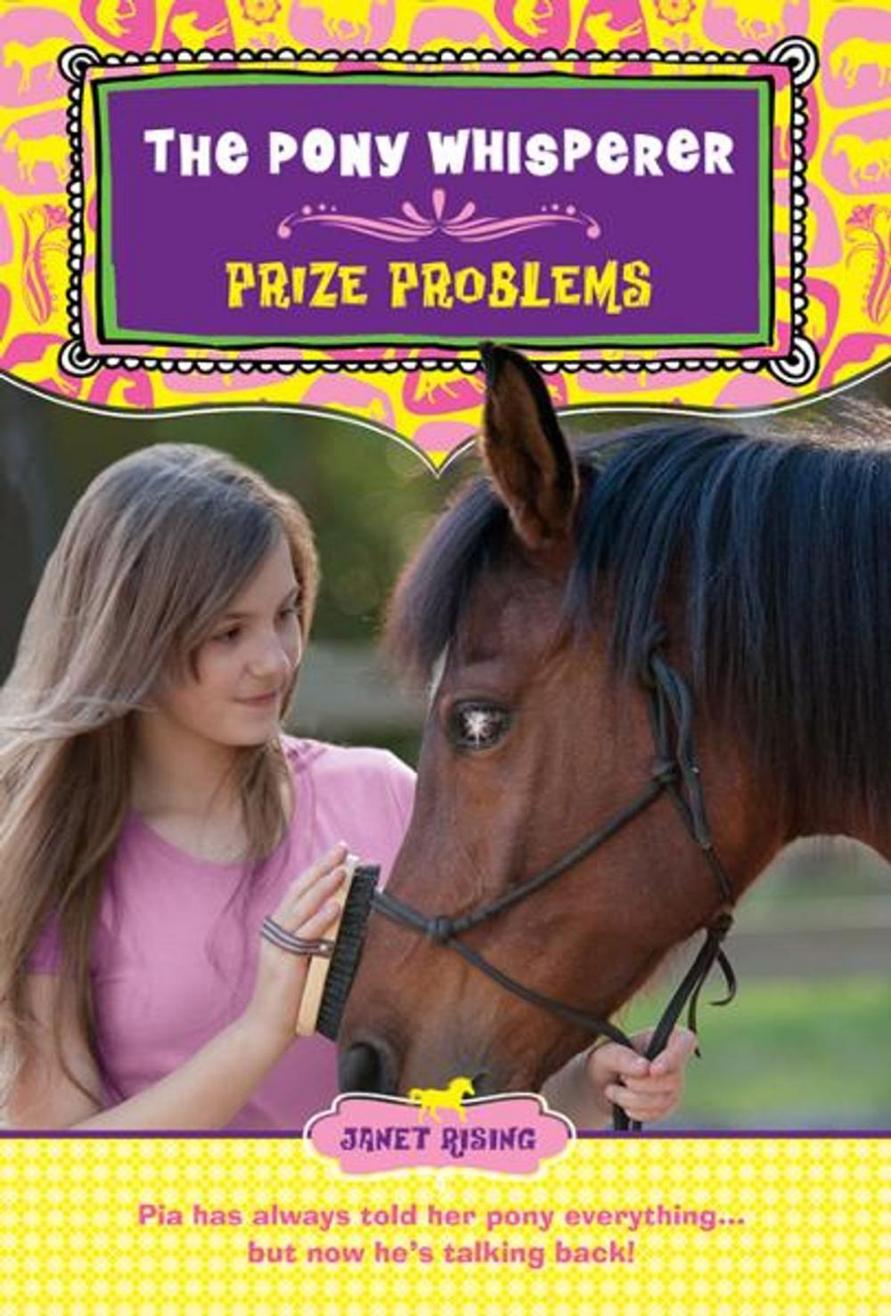 Big bigCover of Prize Problems