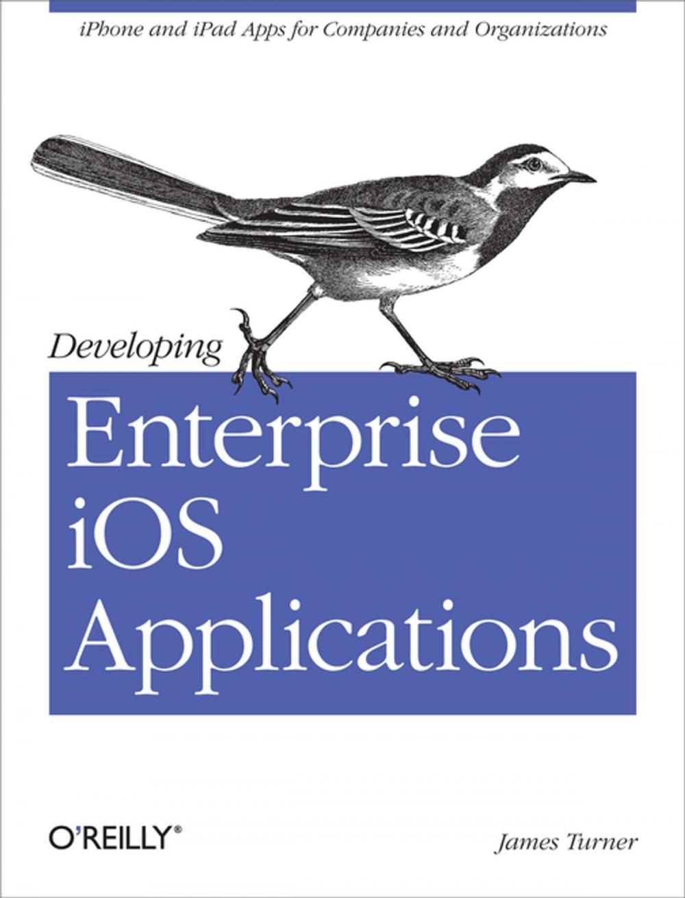 Big bigCover of Developing Enterprise iOS Applications
