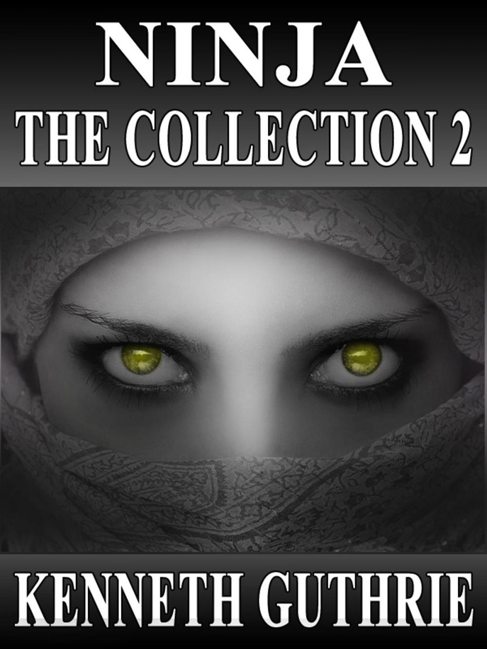 Big bigCover of Ninja: The Collection 2 (Stories 5-8)