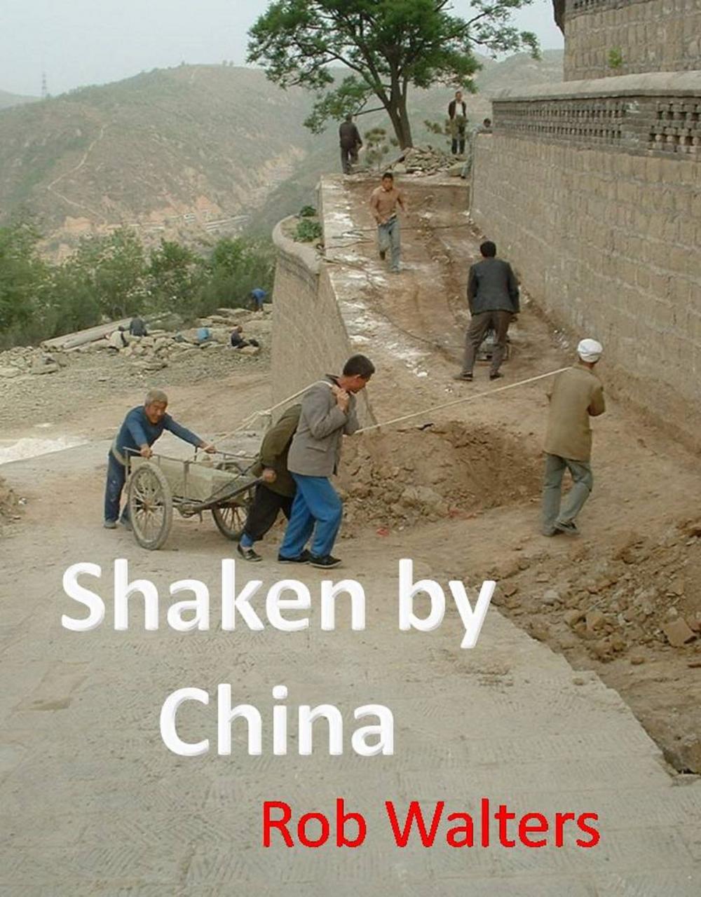 Big bigCover of Shaken by China