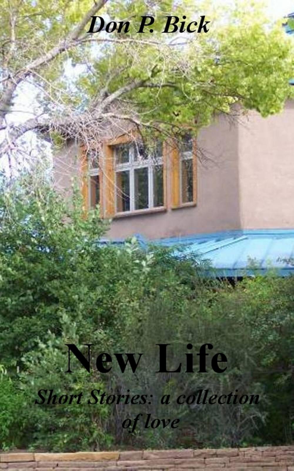Big bigCover of New Life