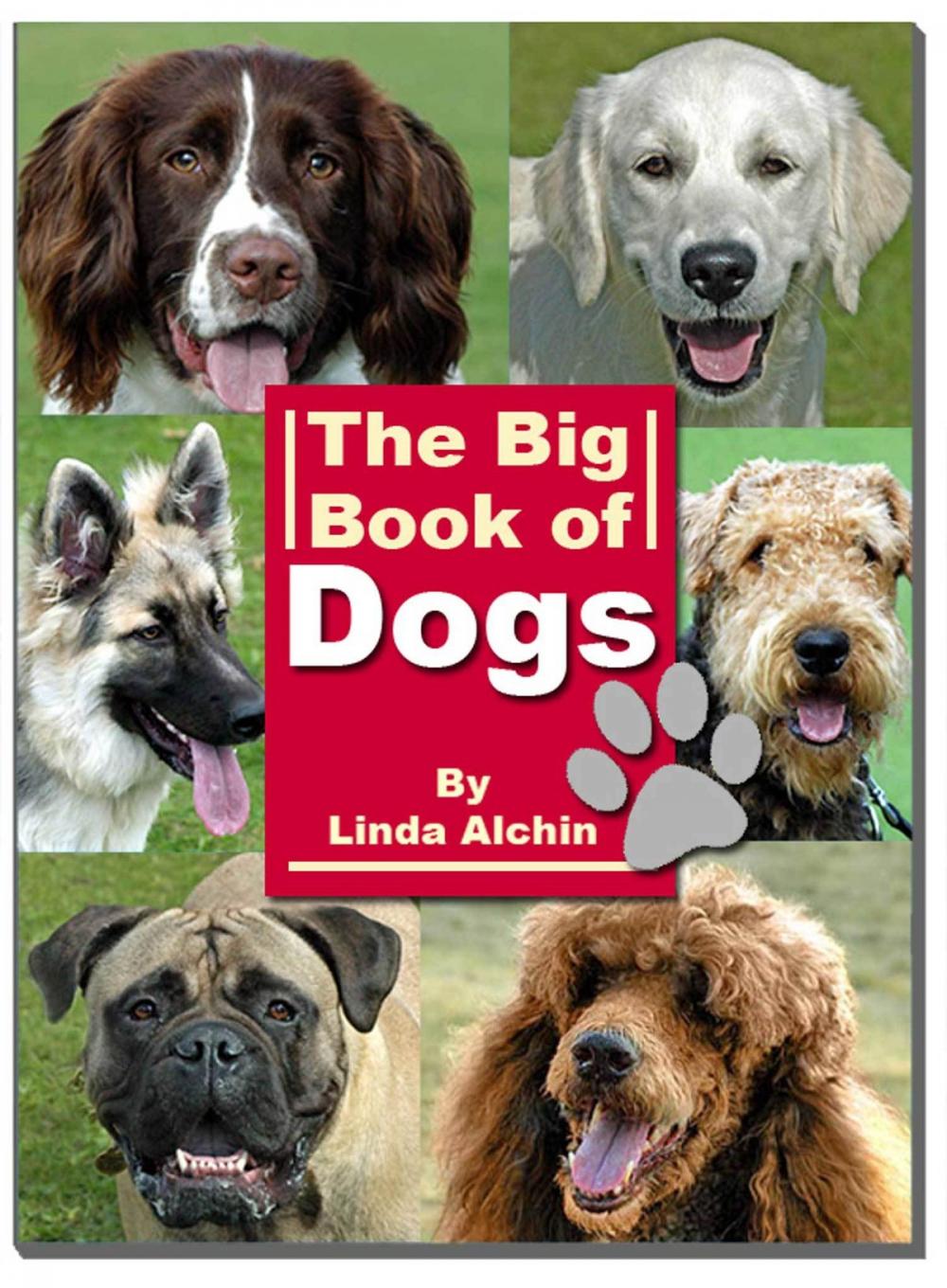 Big bigCover of The Big Book of Dogs