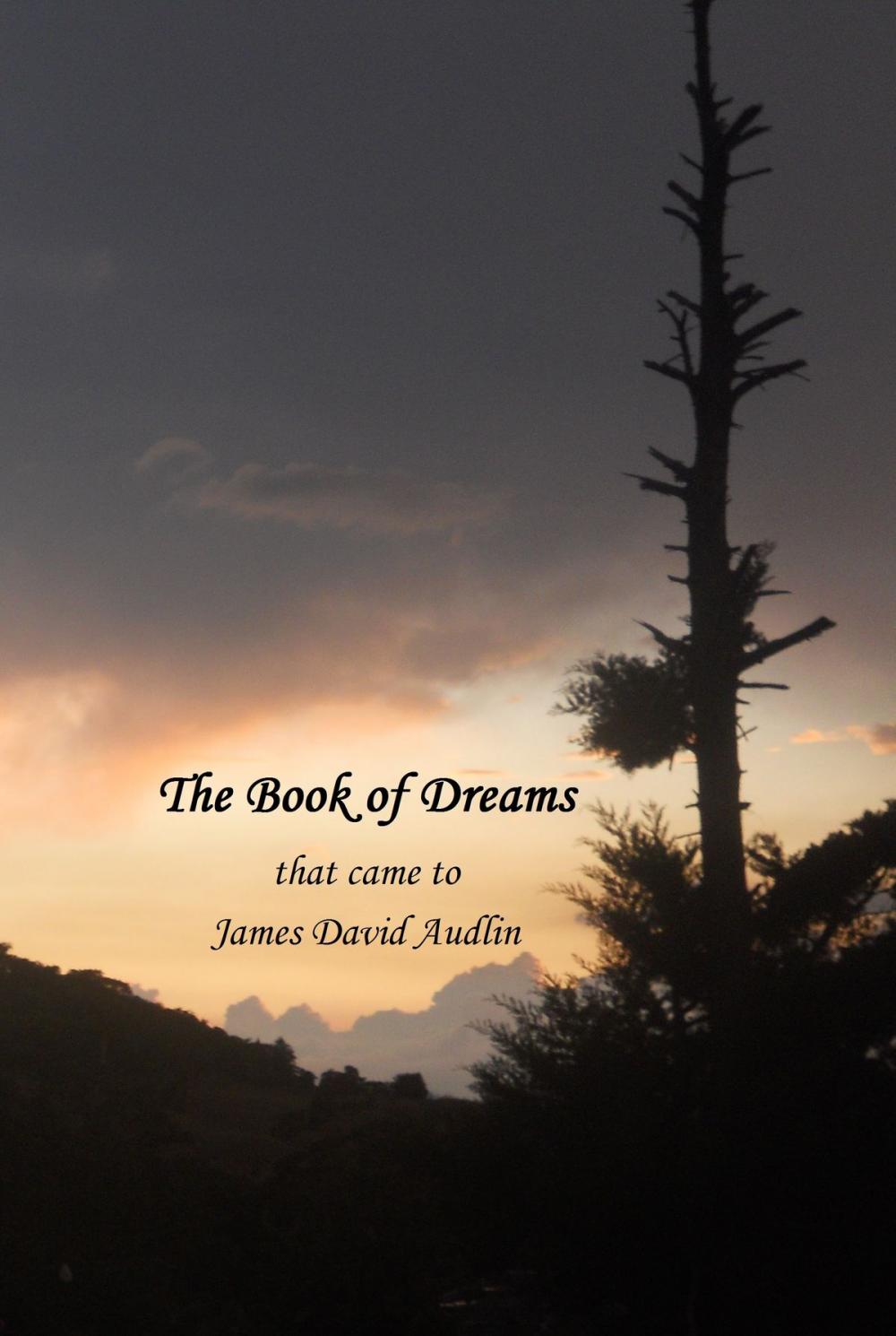 Big bigCover of The Book of Dreams