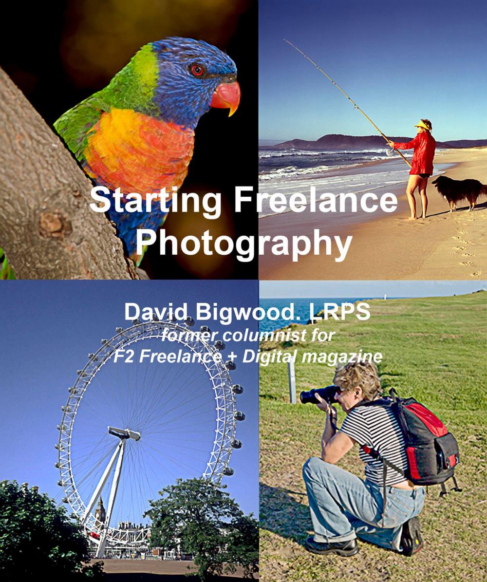 Big bigCover of Starting Freelance Photography