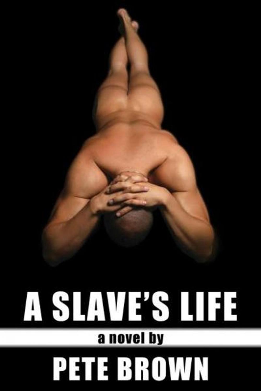 Big bigCover of A Slave's Life