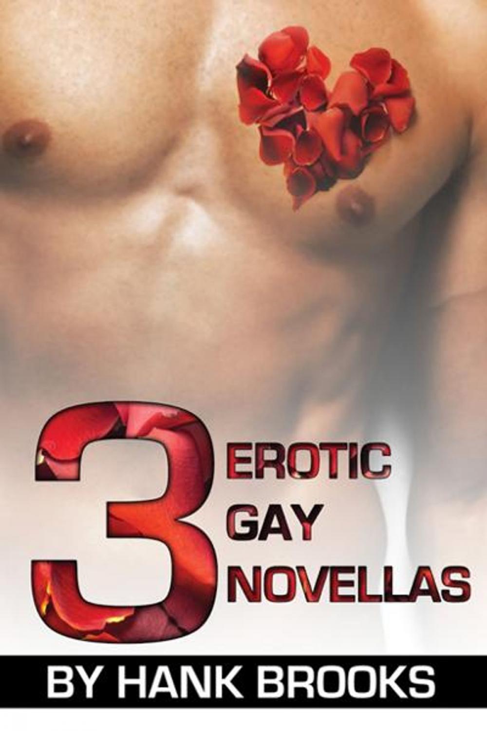 Big bigCover of 3 Erotic Gay Novellas