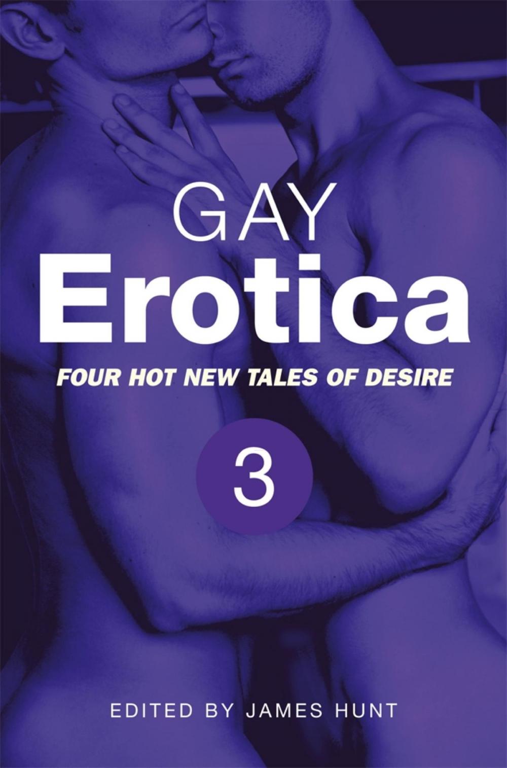 Big bigCover of Gay Erotica, Volume 3