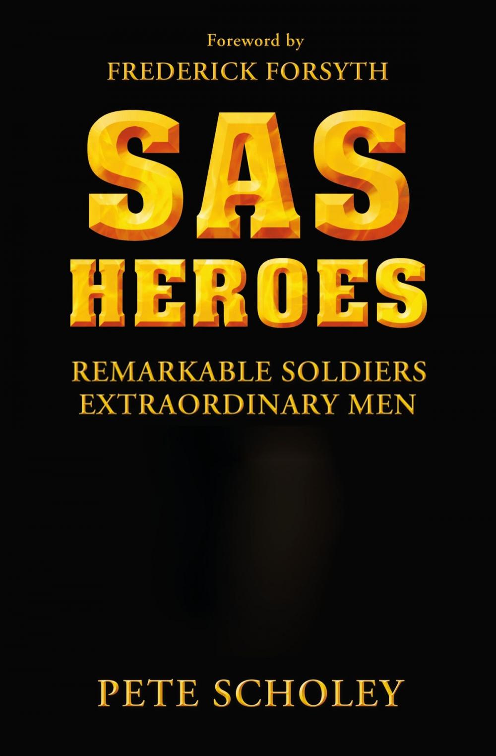 Big bigCover of SAS Heroes
