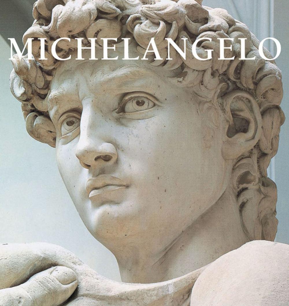 Big bigCover of Michelangelo