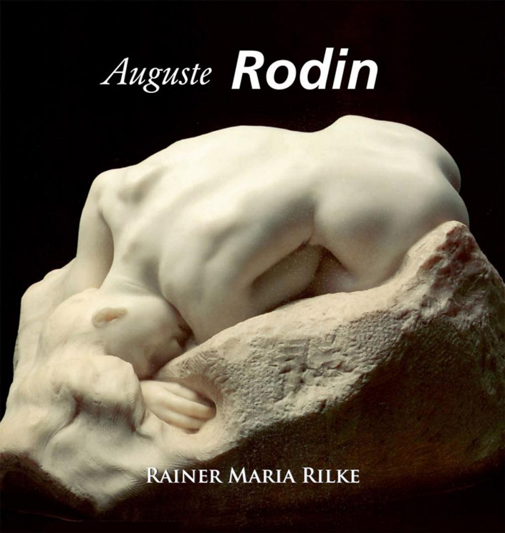 Big bigCover of Rodin