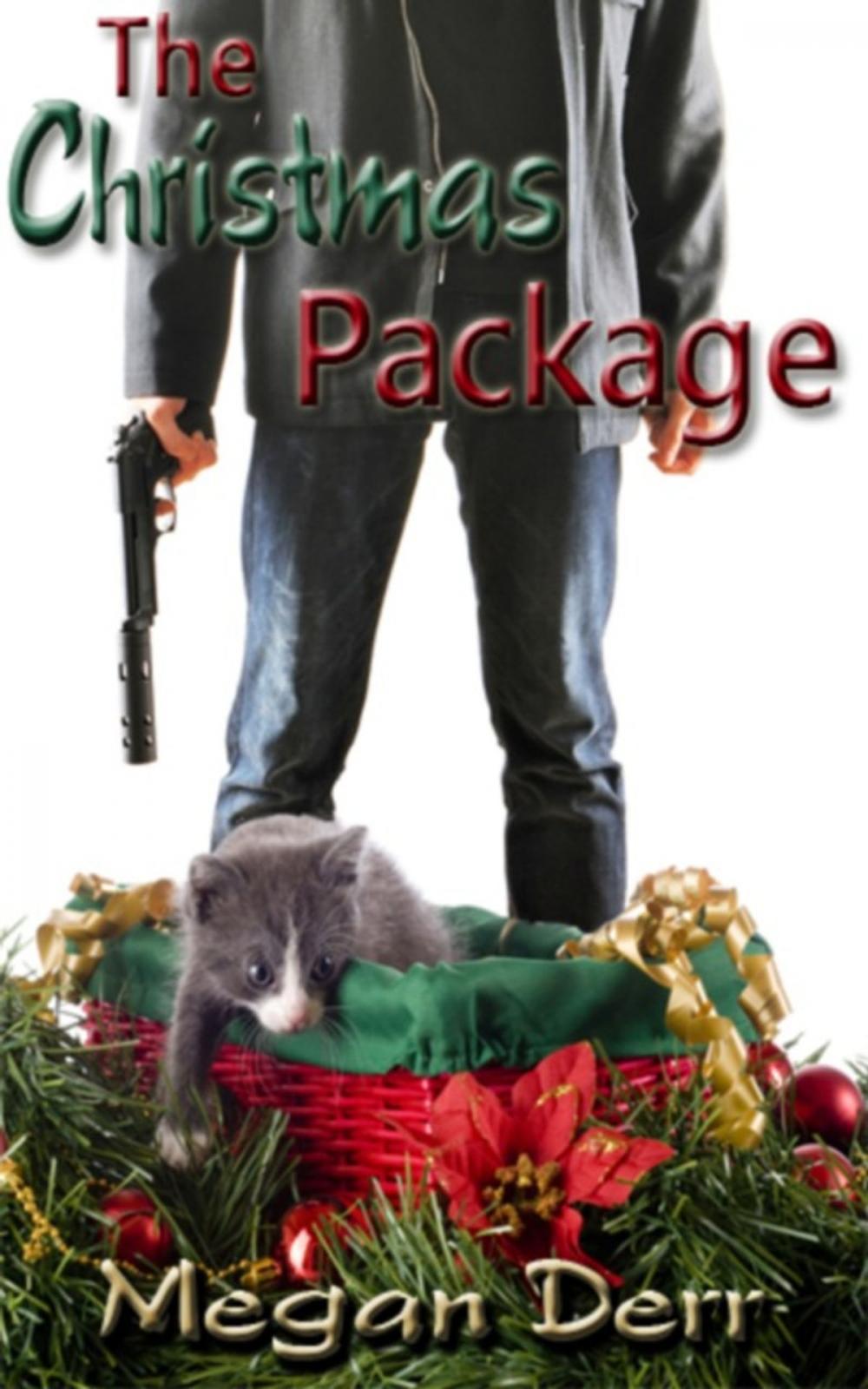 Big bigCover of The Christmas Package