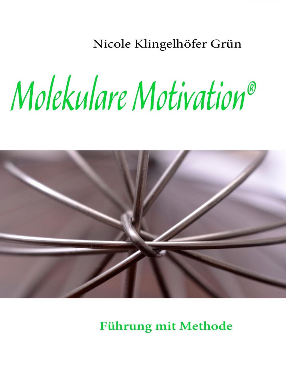 Big bigCover of Molekulare Motivation