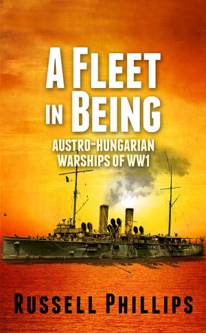 Book cover of A Fleet in Being