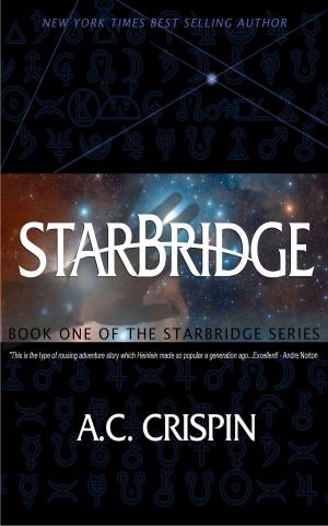 Book cover of StarBridge (StarBridge #1)