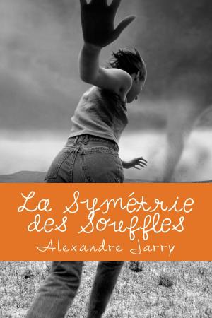 Book cover of La Symétrie des Souffles