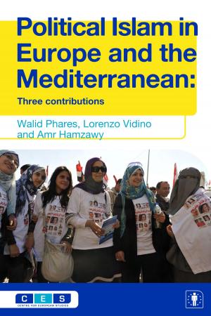 Cover of the book Political Islam in Europe and the Mediterranean by Karsten Grabow, Florian Hartleb