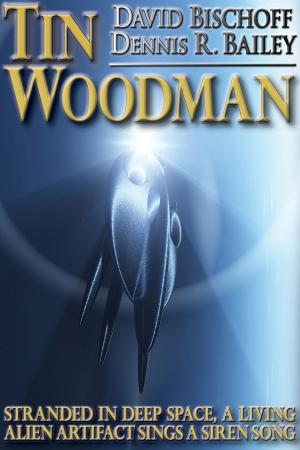 Book cover of Tin Woodman