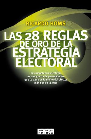 Book cover of Las 28 reglas de oro de la estrategia electoral: La competencia electoral es una guerra de percepciones que se gana en la mente del elector más que en la calle